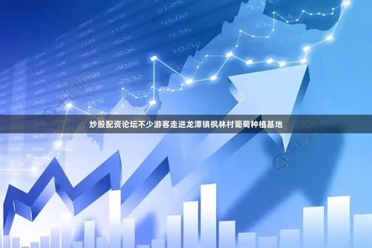 炒股配资论坛不少游客走进龙潭镇枫林村葡萄种植基地